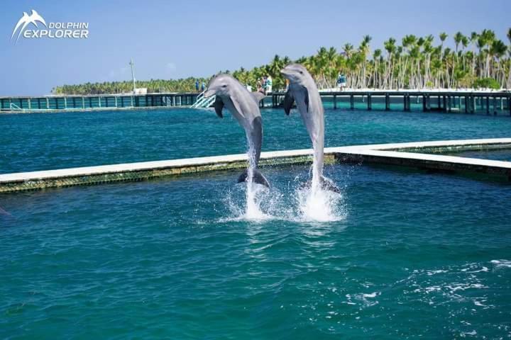 Caribbean And Sun Punta Cana Apartment Exterior photo